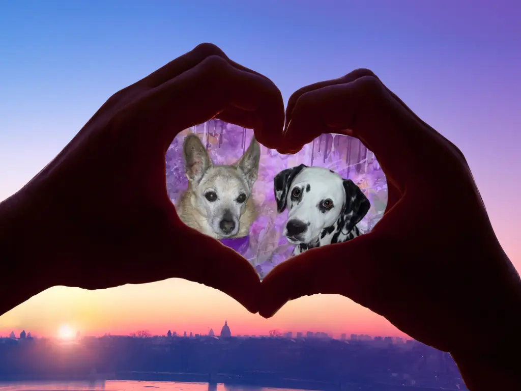 Condolence image of Michaela mit Nicko und Ariane ganz tief im ❤