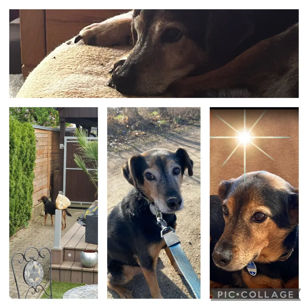 Condolence image of Mama