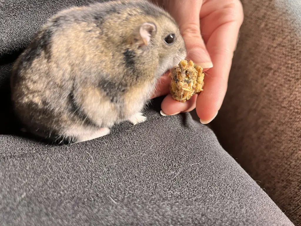 Andachtsbild von Milla mit Murphy im Herzen!!!