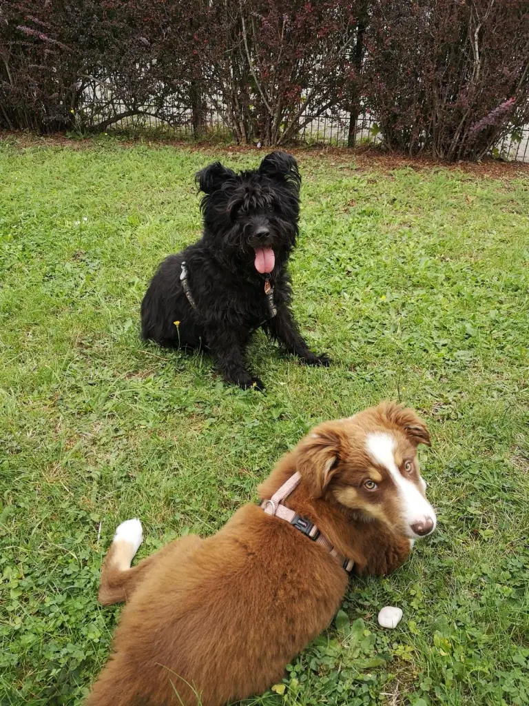 Andachtsbild von Sabrina