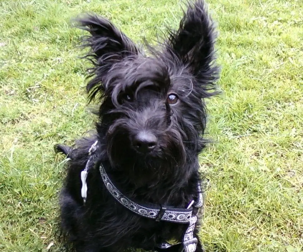 Andachtsbild von Yvonne