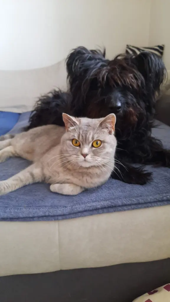 Andachtsbild von Sabrina