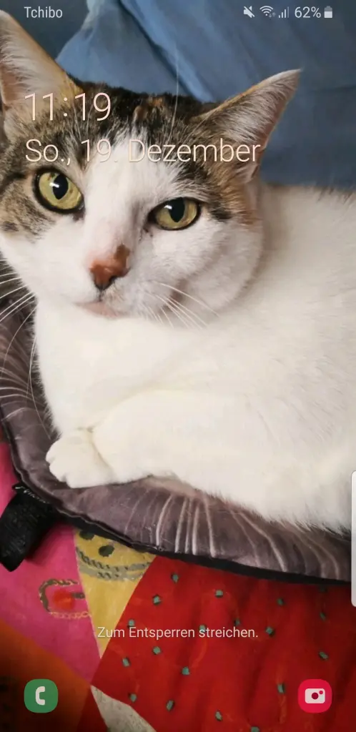 Andachtsbild von Ulla mit Trixi im Herzen