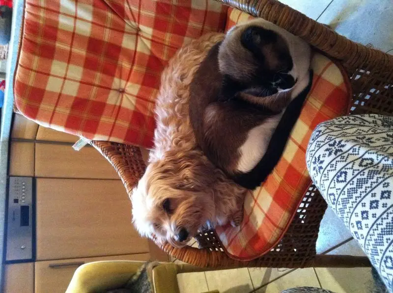 Condolence image of Marlies, Nicky und Lu