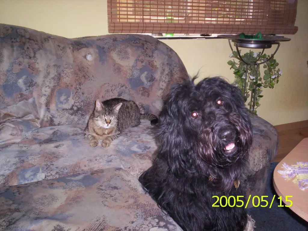 Condolence image of Bernd&jahjah