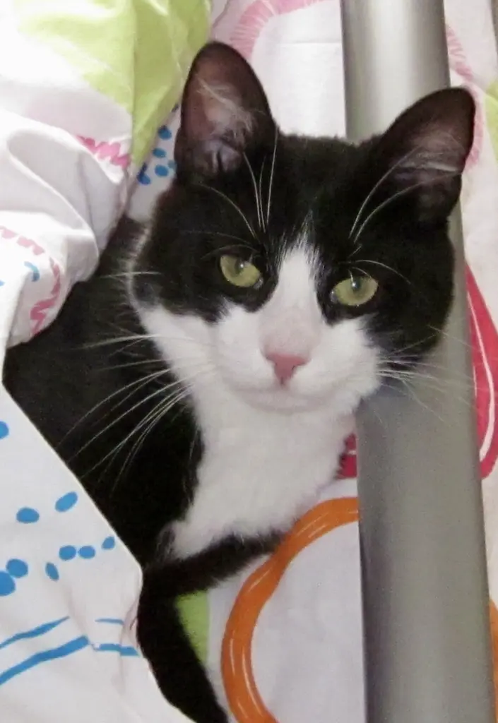 Andachtsbild von Susanne mit Pumuckel im Herzen (+29.03.24)