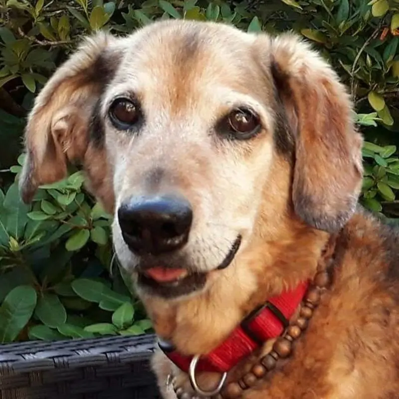 Condolence image of Nicola