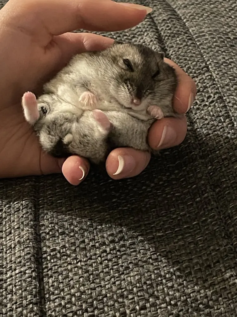 Andachtsbild von Milla mit Murphy im Herzen! 