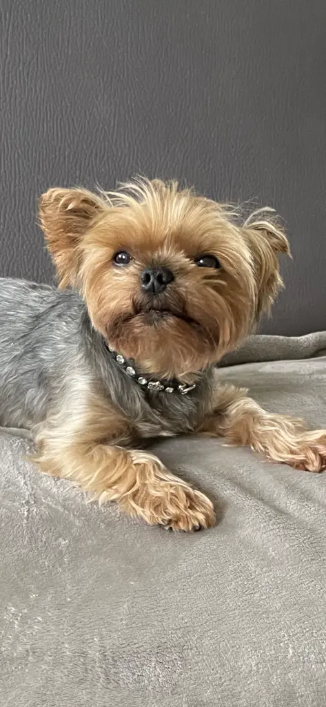 Andachtsbild von Êva mit Twixie❤️