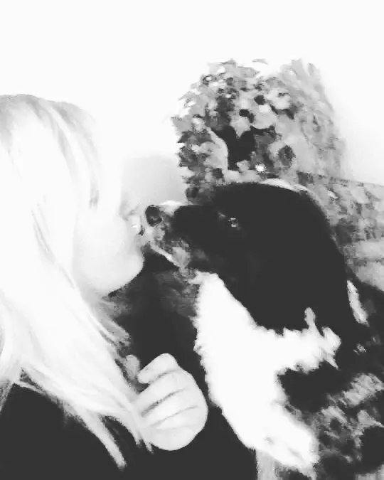 Condolence image of Sarah  Windhorst 