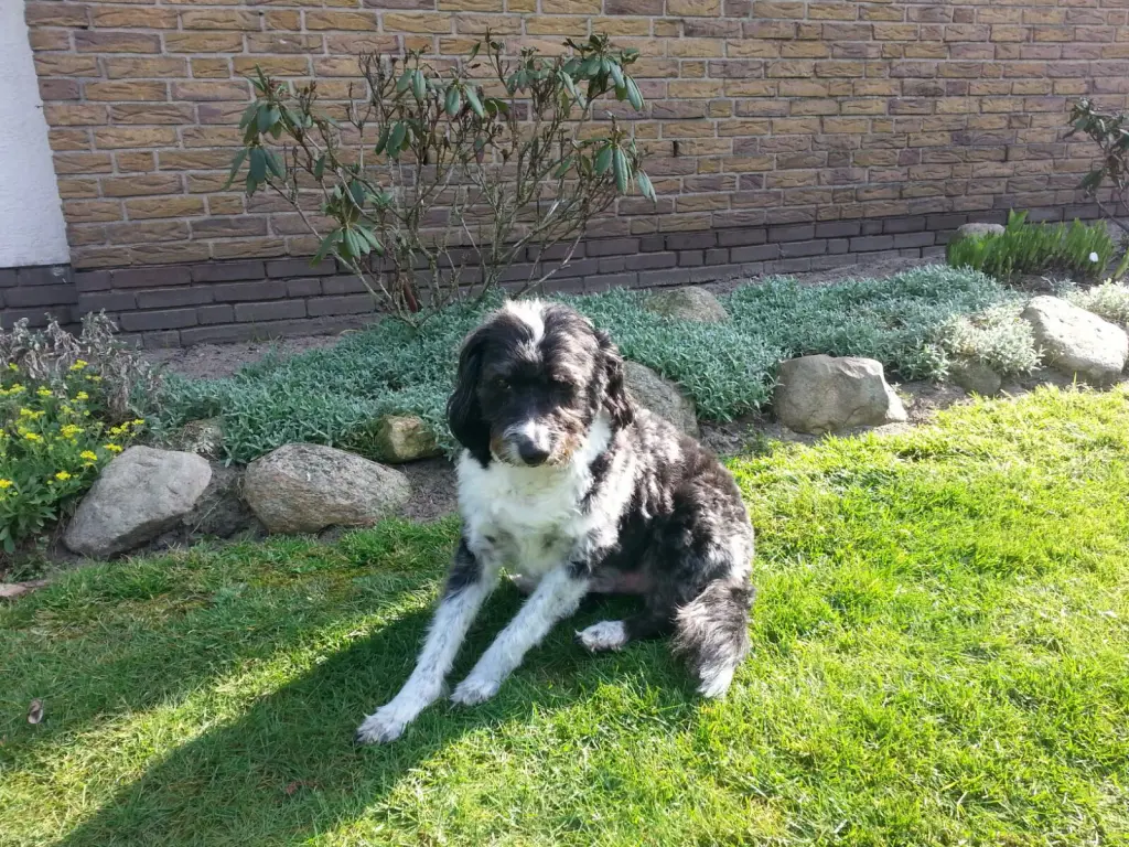 Condolence image of Gabi und Dirk