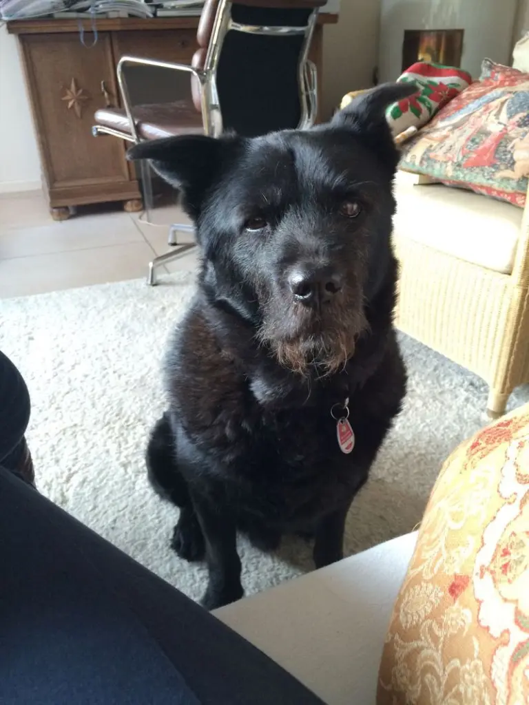 Condolence image of Unbekannt