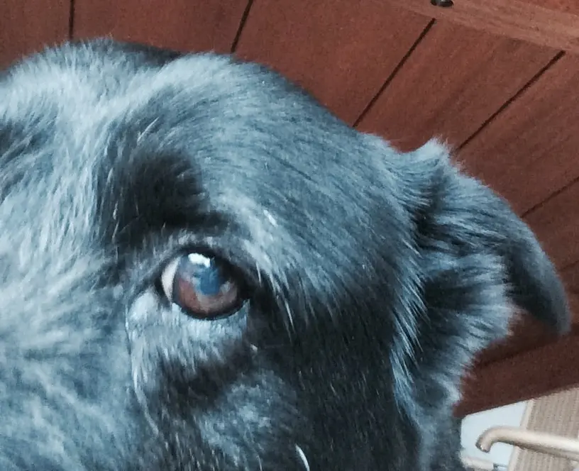 Condolence image of Silke