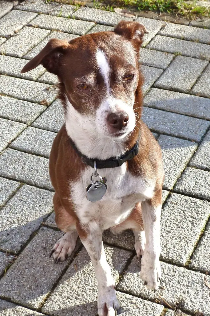 Condolence image of Antje