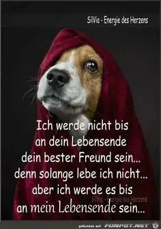 Andachtsbild von Paul mit Seelenhund " Spiky " 19. Juni 2023