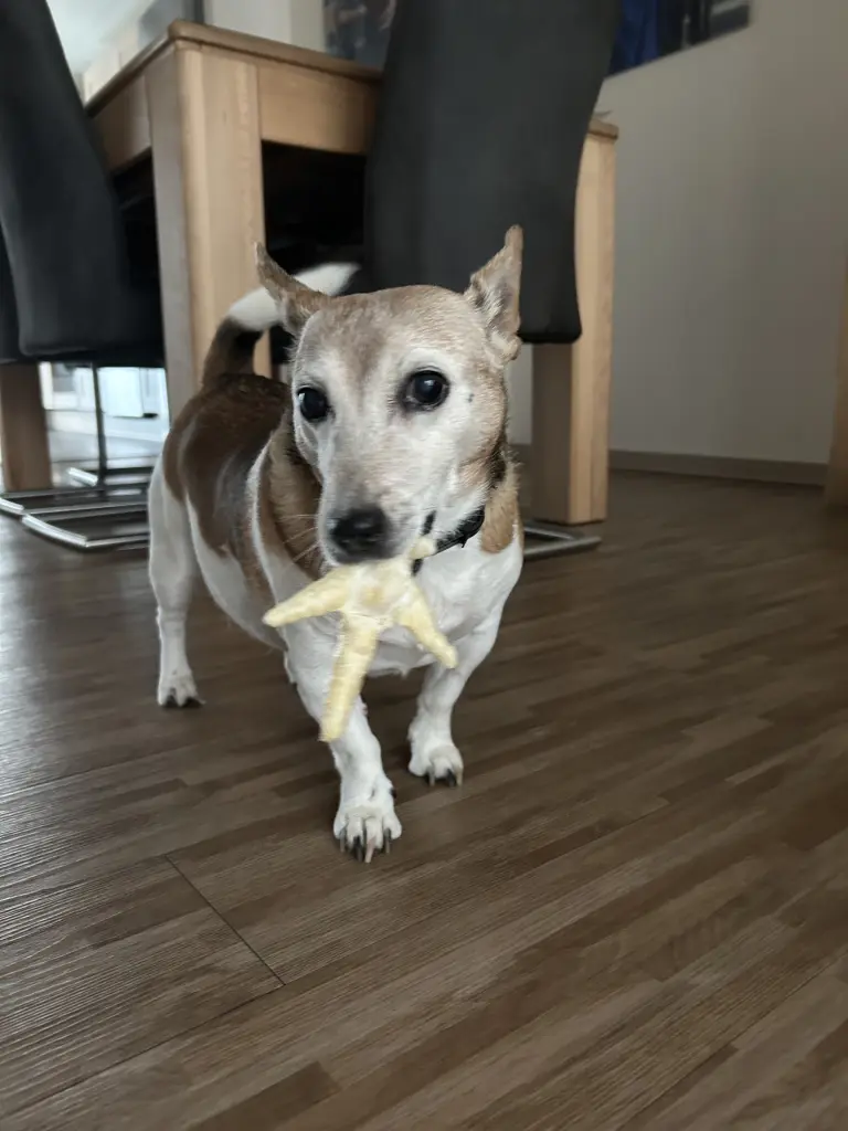 Andachtsbild von Johannes