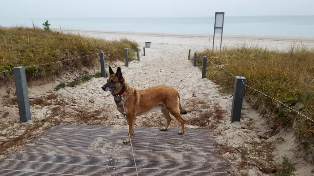 Condolence image of Kerstin