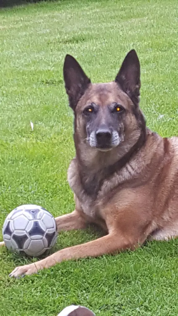 Image from Grace von den kleinen Helden