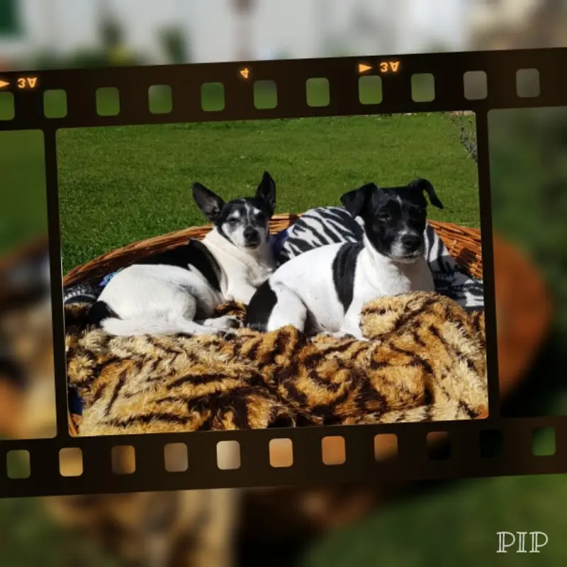 Andachtsbild von Simone Thieme