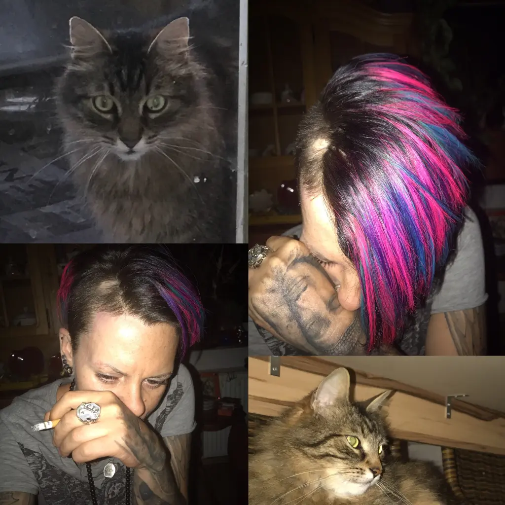 Condolence image of Milena mit Schatzili im Herzen  und seinen 3 Schwestern 