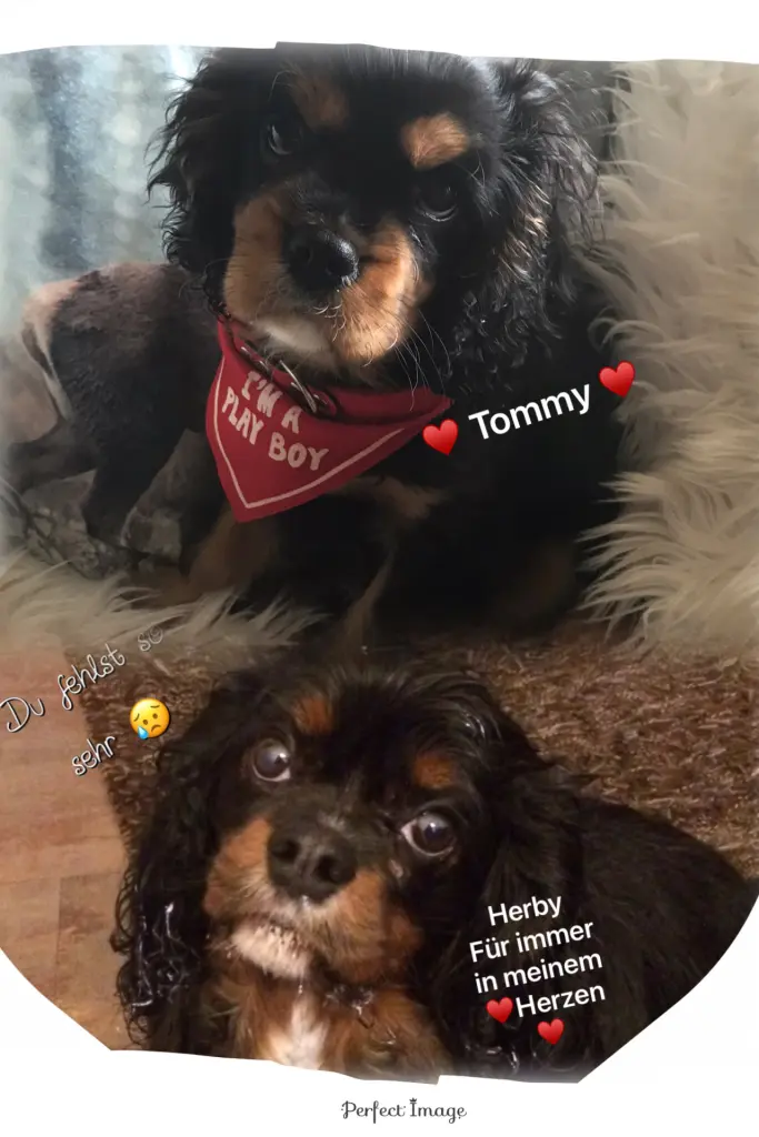 Andachtsbild von Daniela