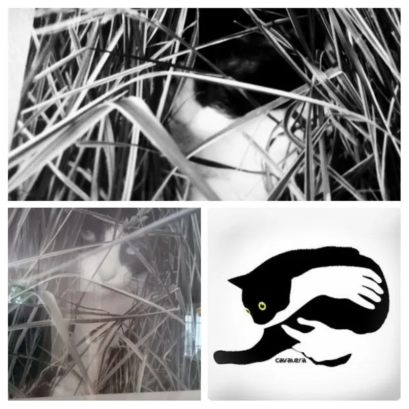 Condolence image of Monika mit Carlo im Herzen 