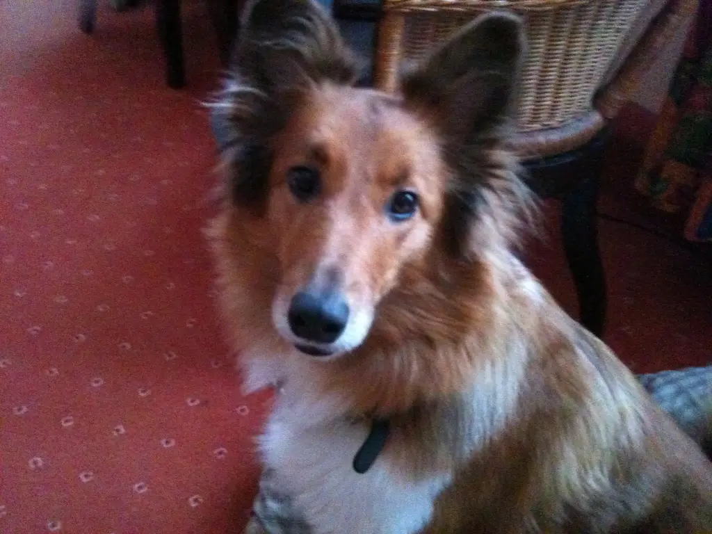 Condolence image of Katharina