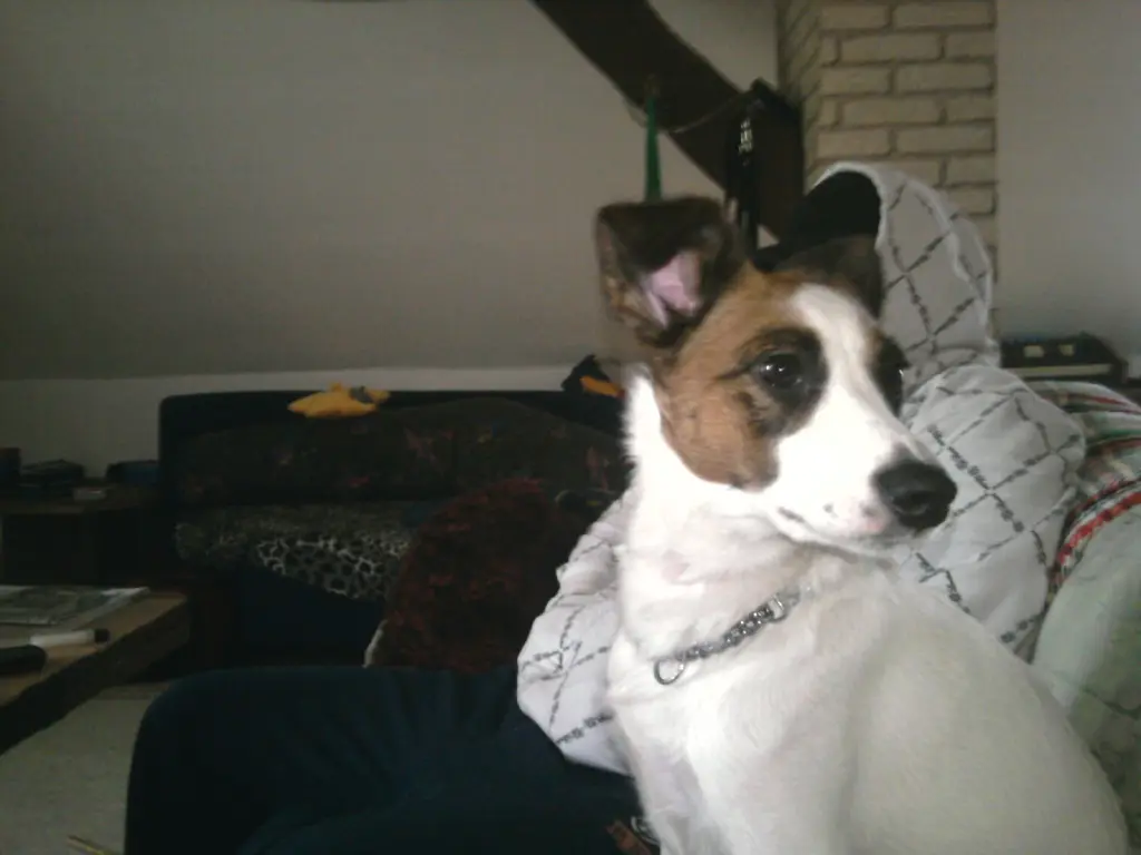 Condolence image of Renate