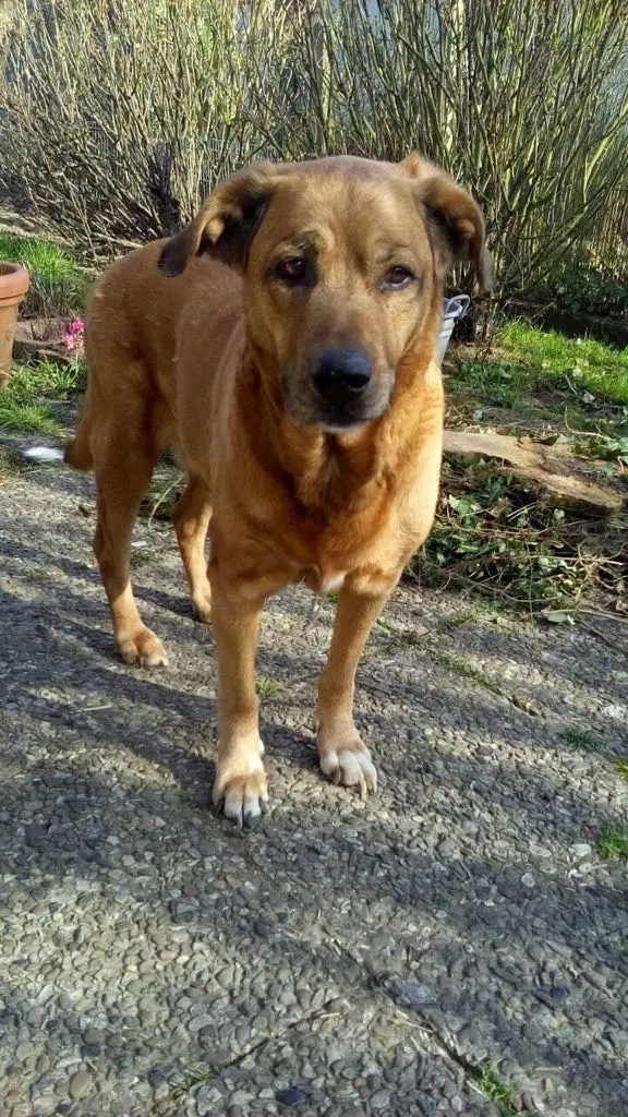 Image from Jimny-Hendric