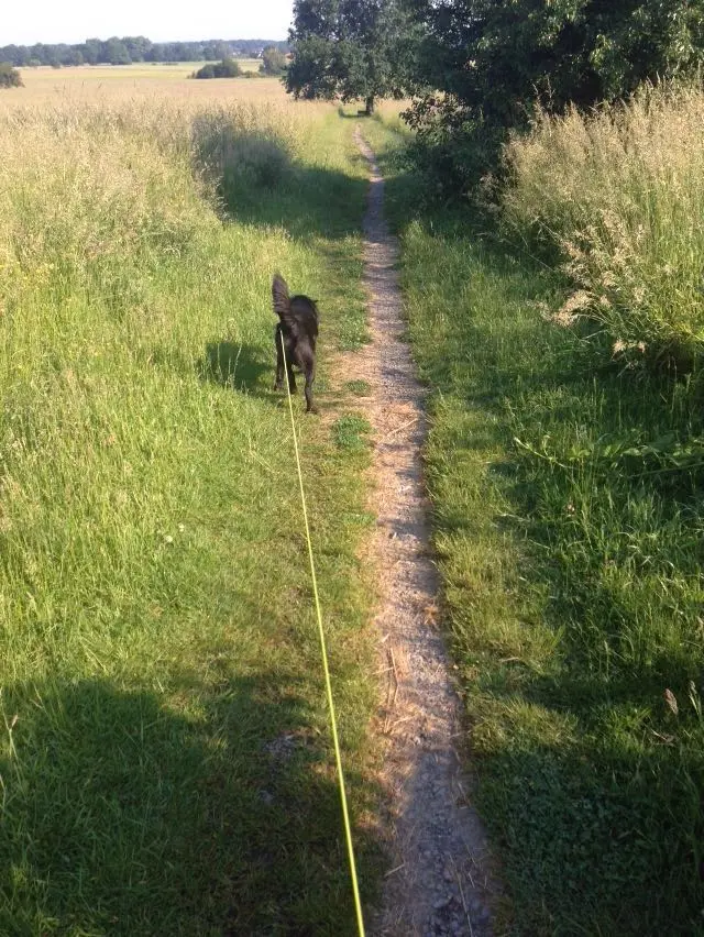 Condolence image of Silke mit Bocci im Herzen