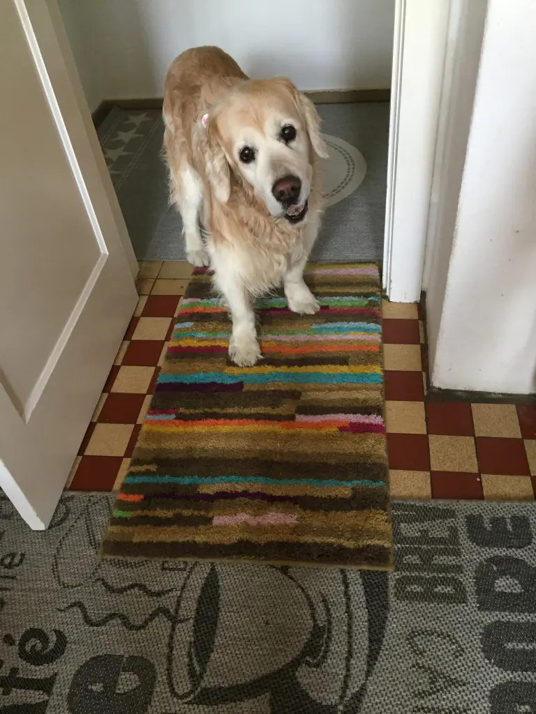 Condolence image of Diana