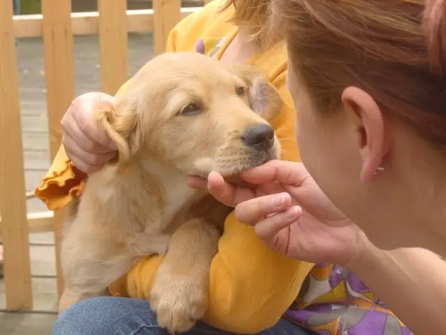 Condolence image of Micha mit Cäsar im Herzen