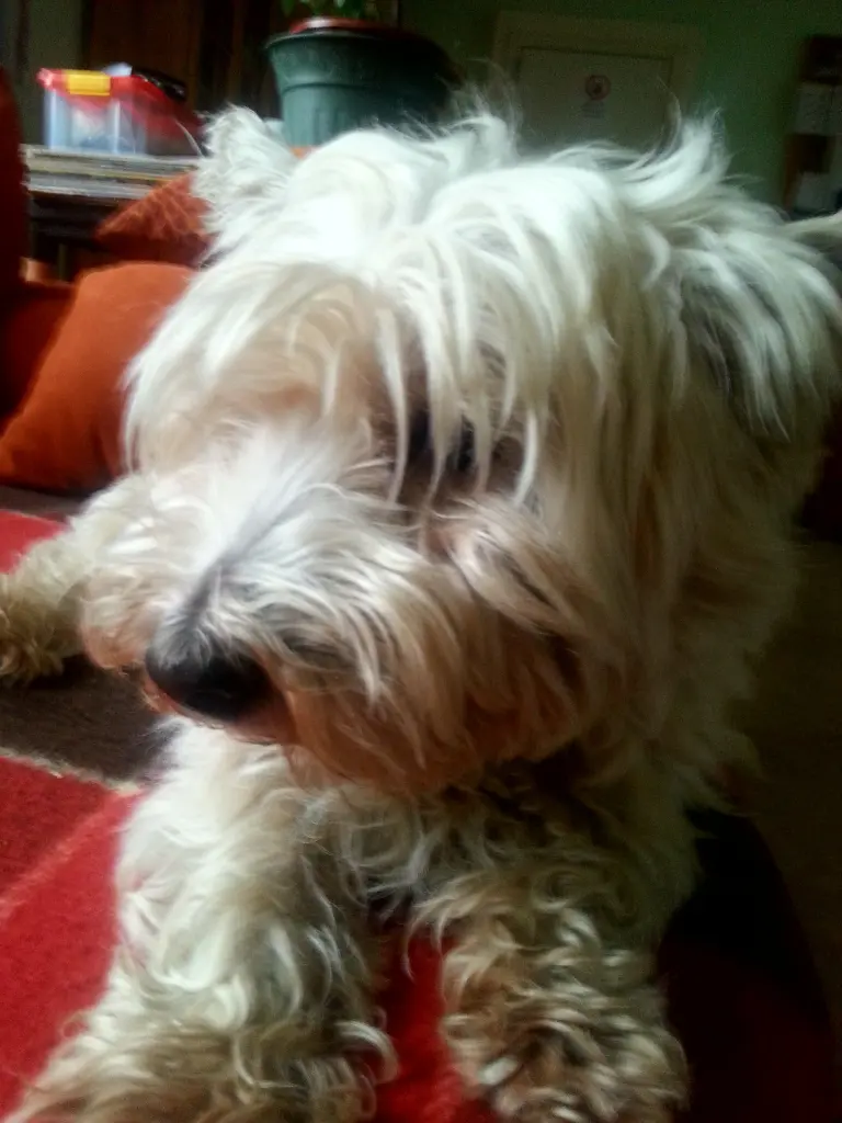 Condolence image of Nicole