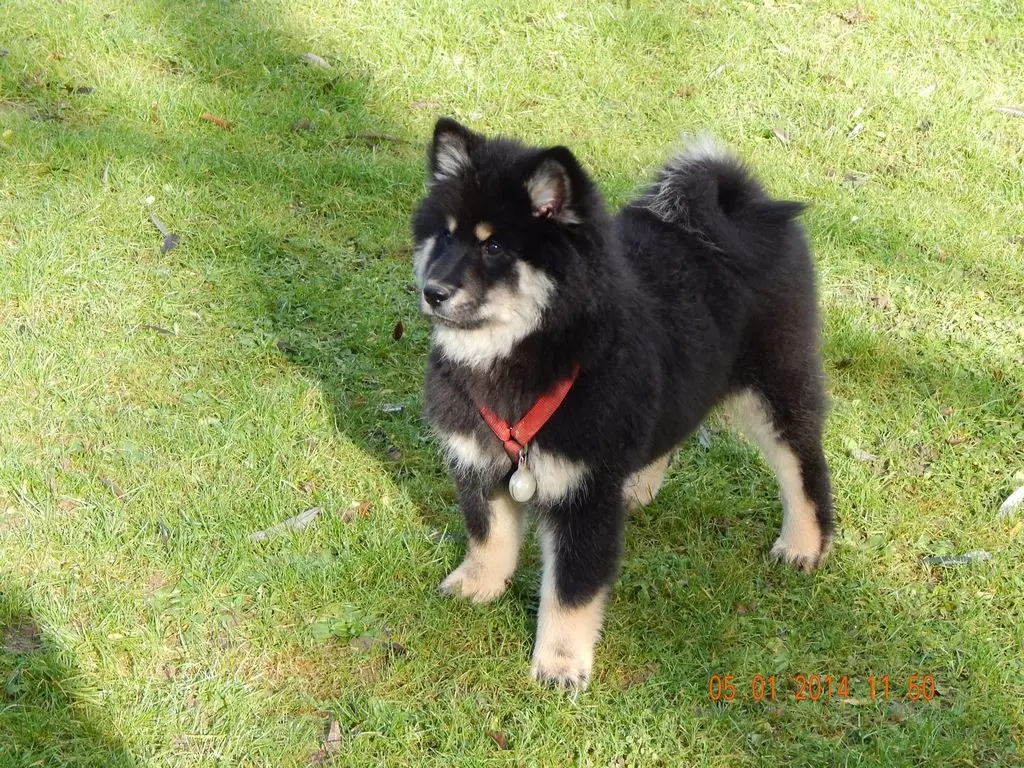 Andachtsbild von Jürgen mit Aika