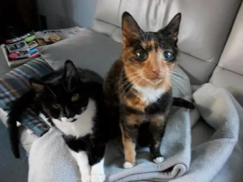 Image from Lucy + Felix