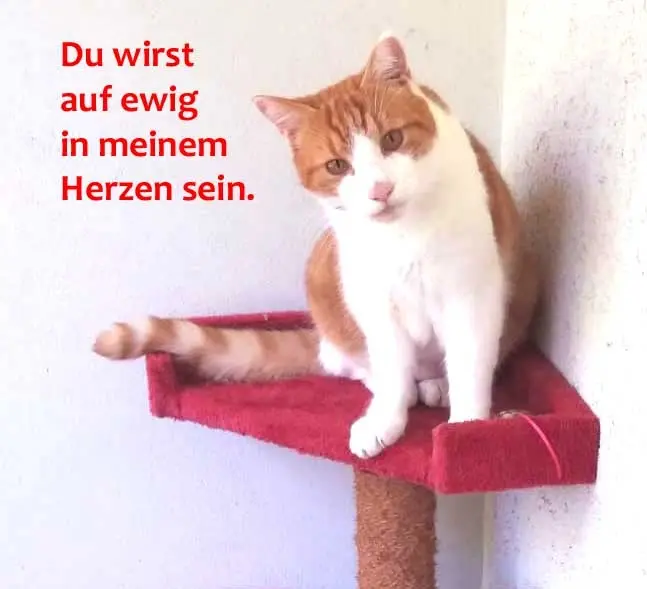 Bild von Mailo