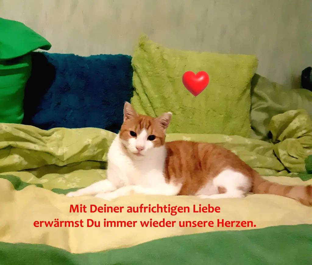 Bild von Mailo