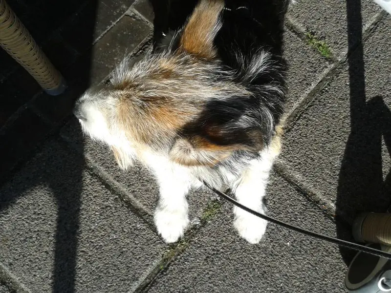 Condolence image of Utegni Gnuege