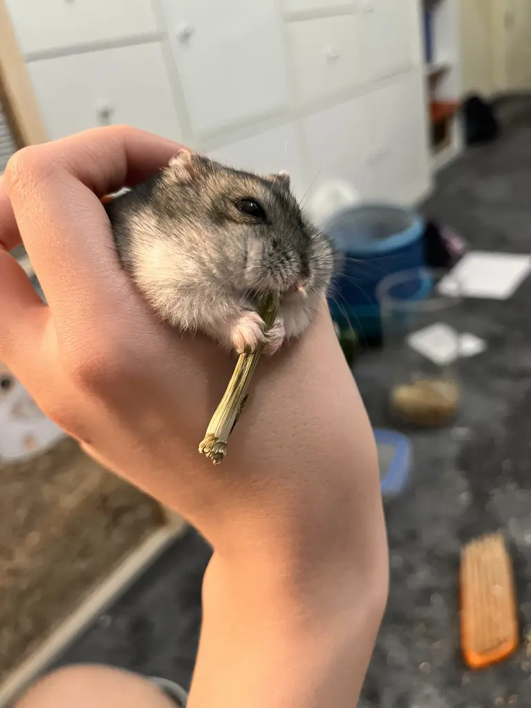 Andachtsbild von Milla mit Murphy im Herzen!!!