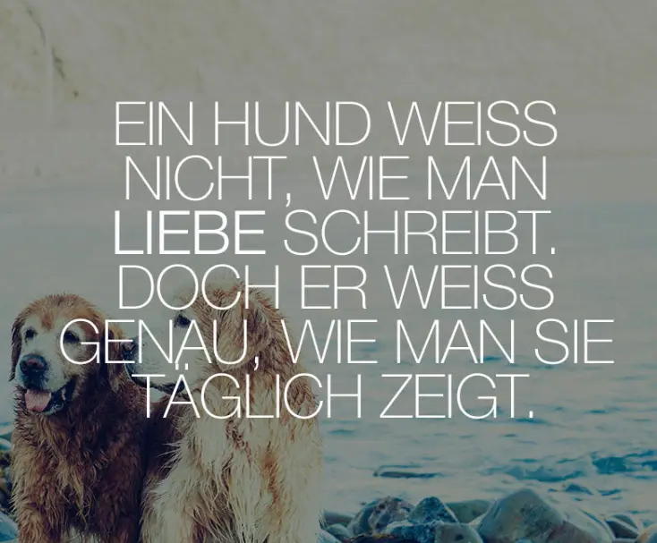 Condolence image of Daniela 