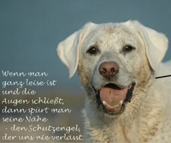 Condolence image of Daniela