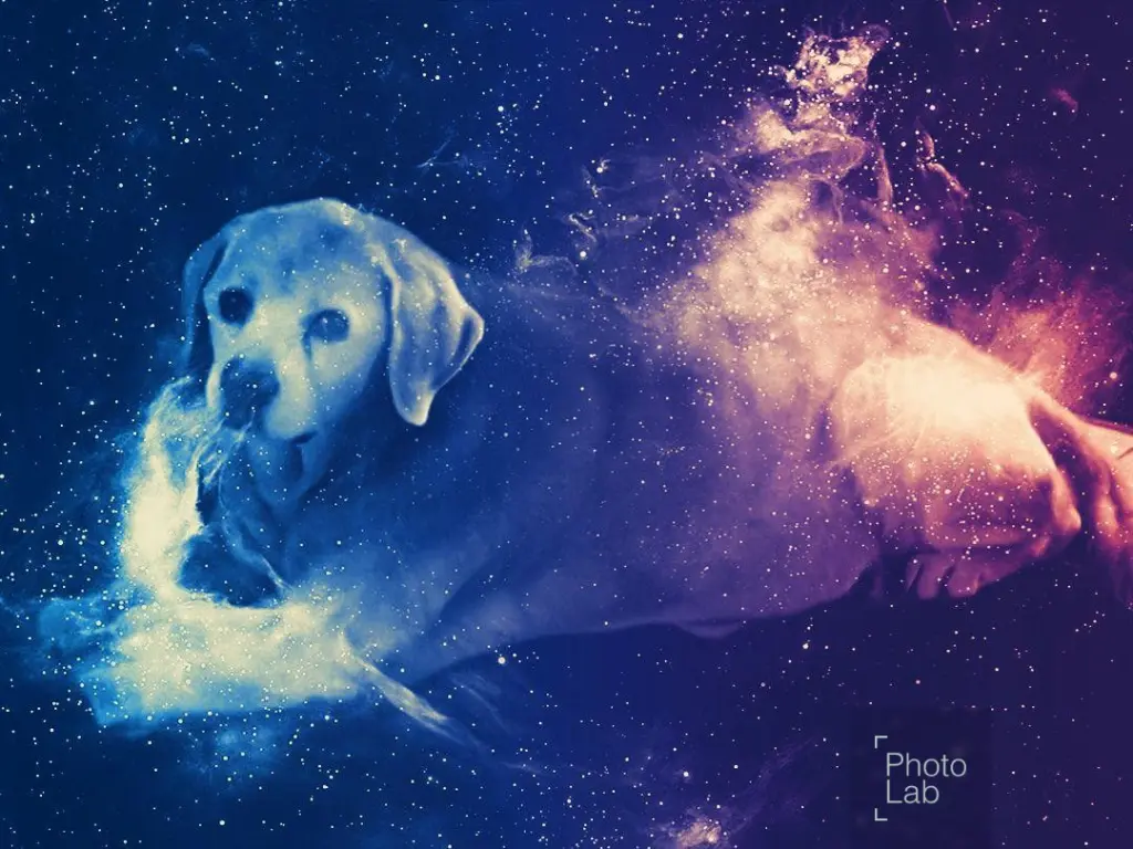 Condolence image of Regina