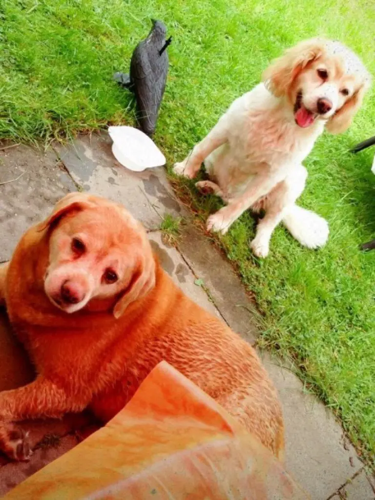 Condolence image of Hannelore