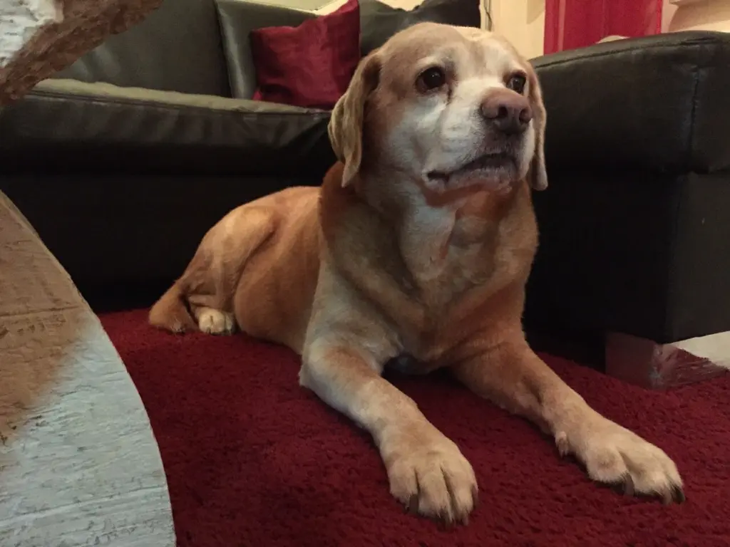 Condolence image of Regina