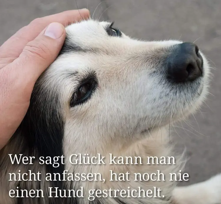 Condolence image of Daniela 