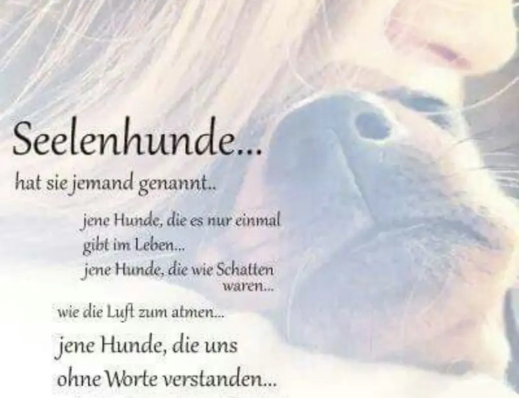 Condolence image of Daniela