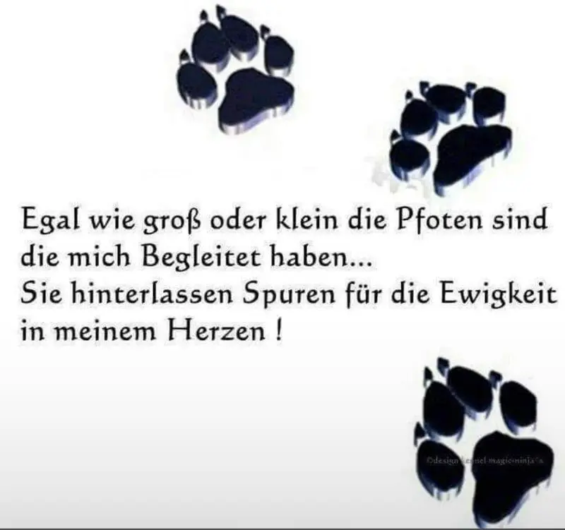 Condolence image of Daniela 