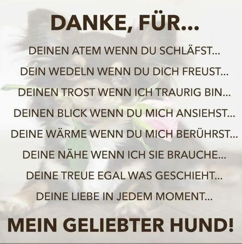 Condolence image of Daniela 