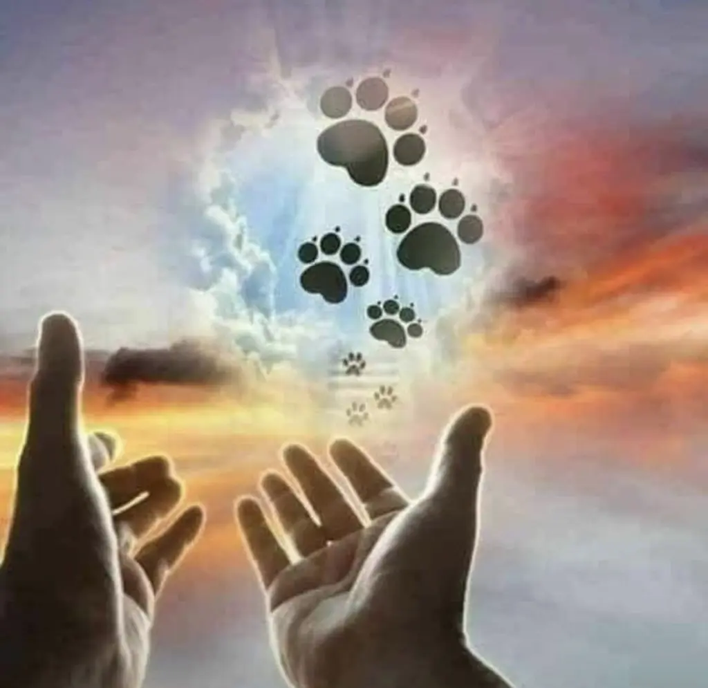 Condolence image of Daniela