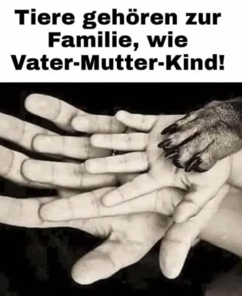 Condolence image of Daniela